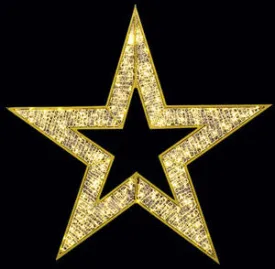 2D Regal Star, Warm White LED