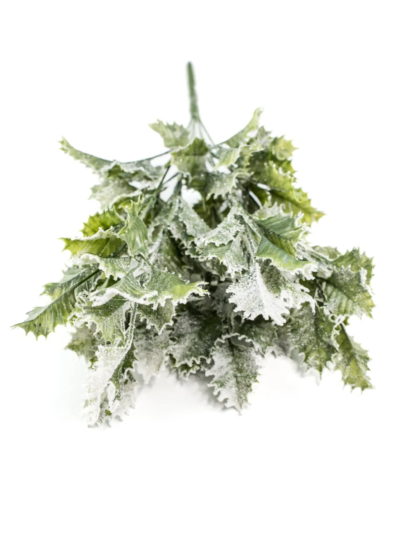 Artificial, frosted, holly greenery bush
