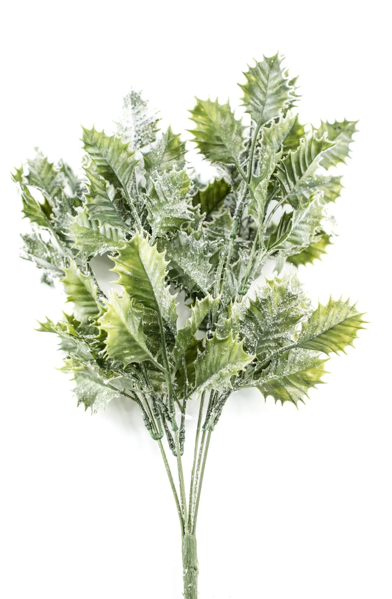 Artificial, frosted, holly greenery bush
