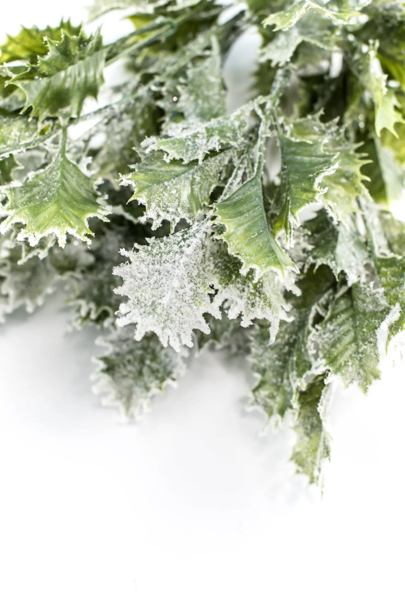 Artificial, frosted, holly greenery bush