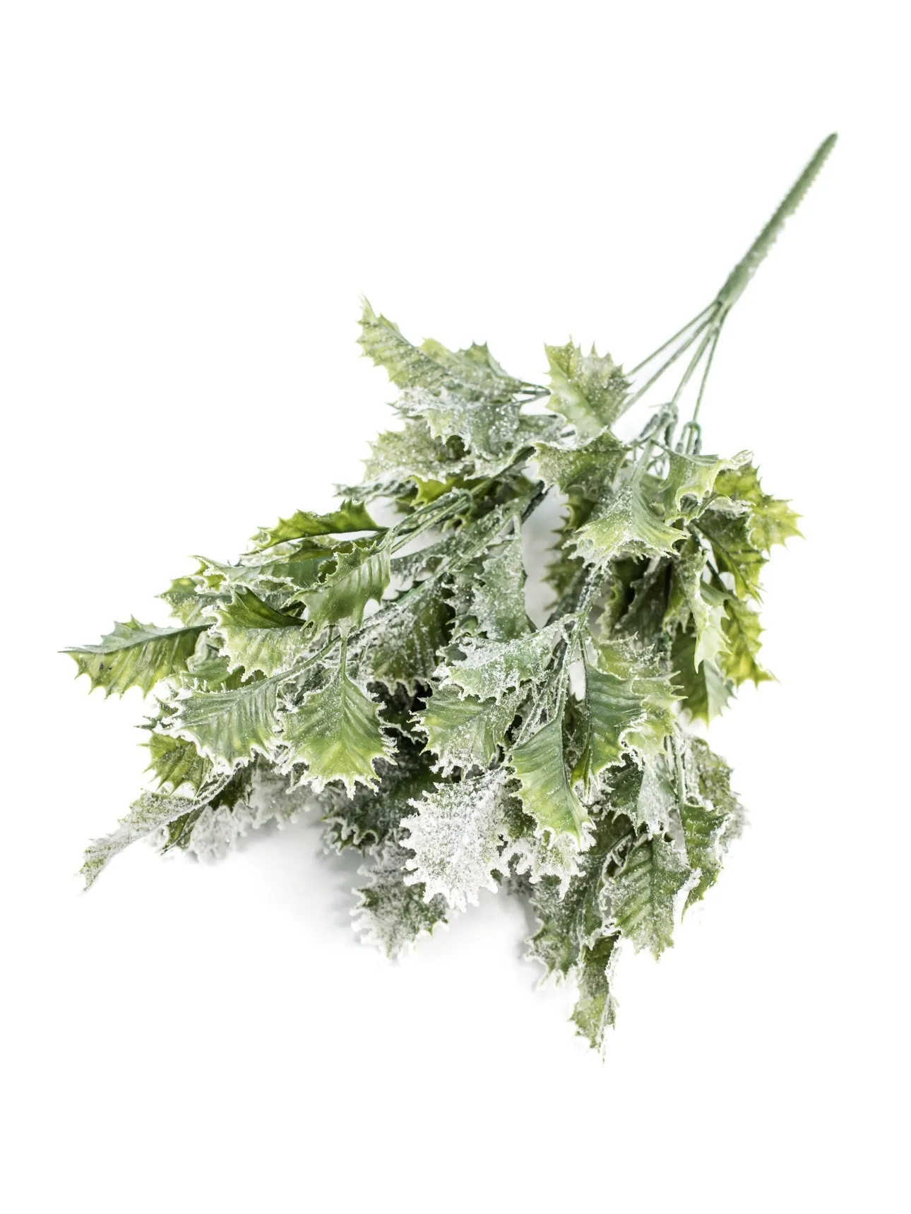 Artificial, frosted, holly greenery bush