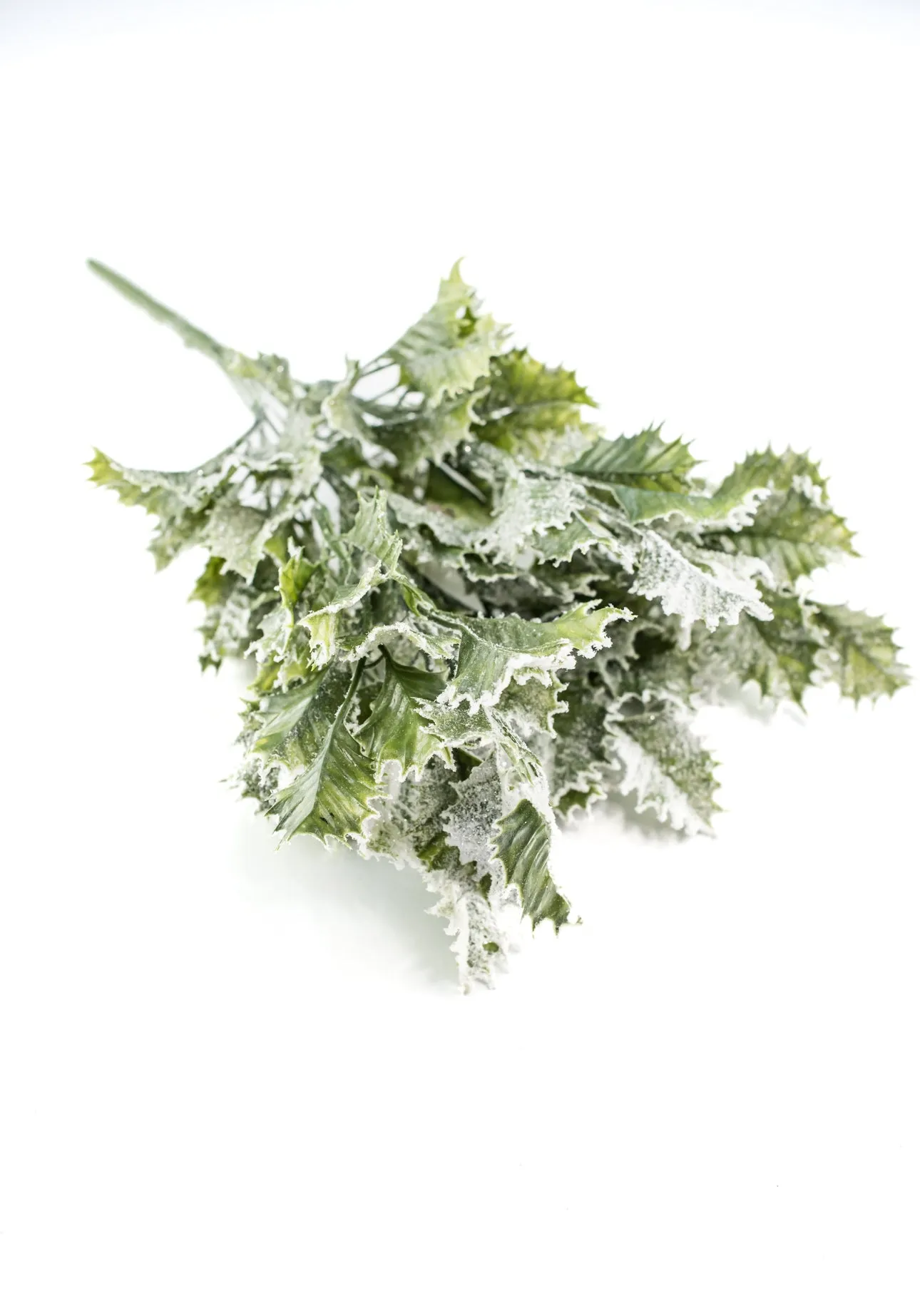 Artificial, frosted, holly greenery bush