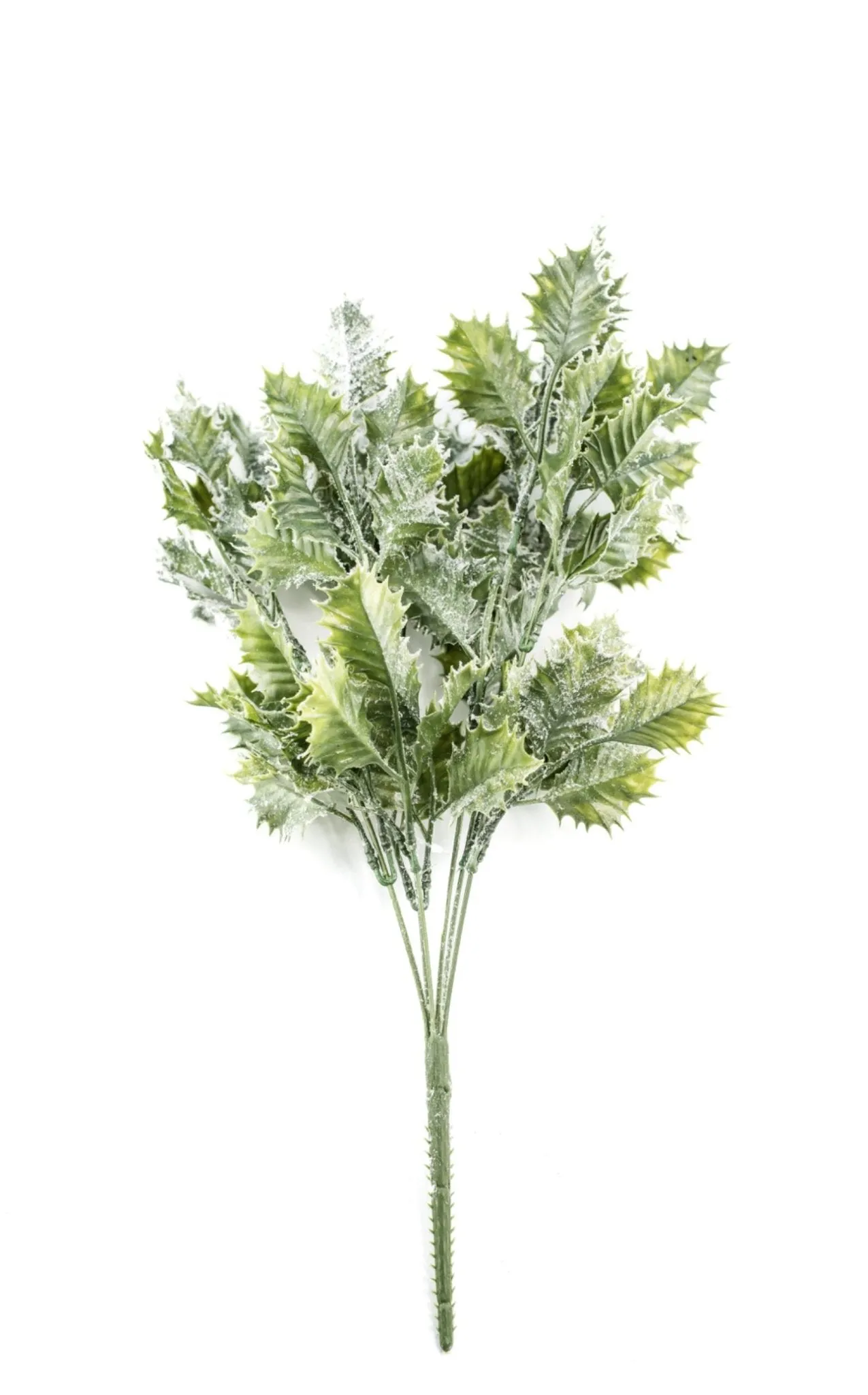 Artificial, frosted, holly greenery bush