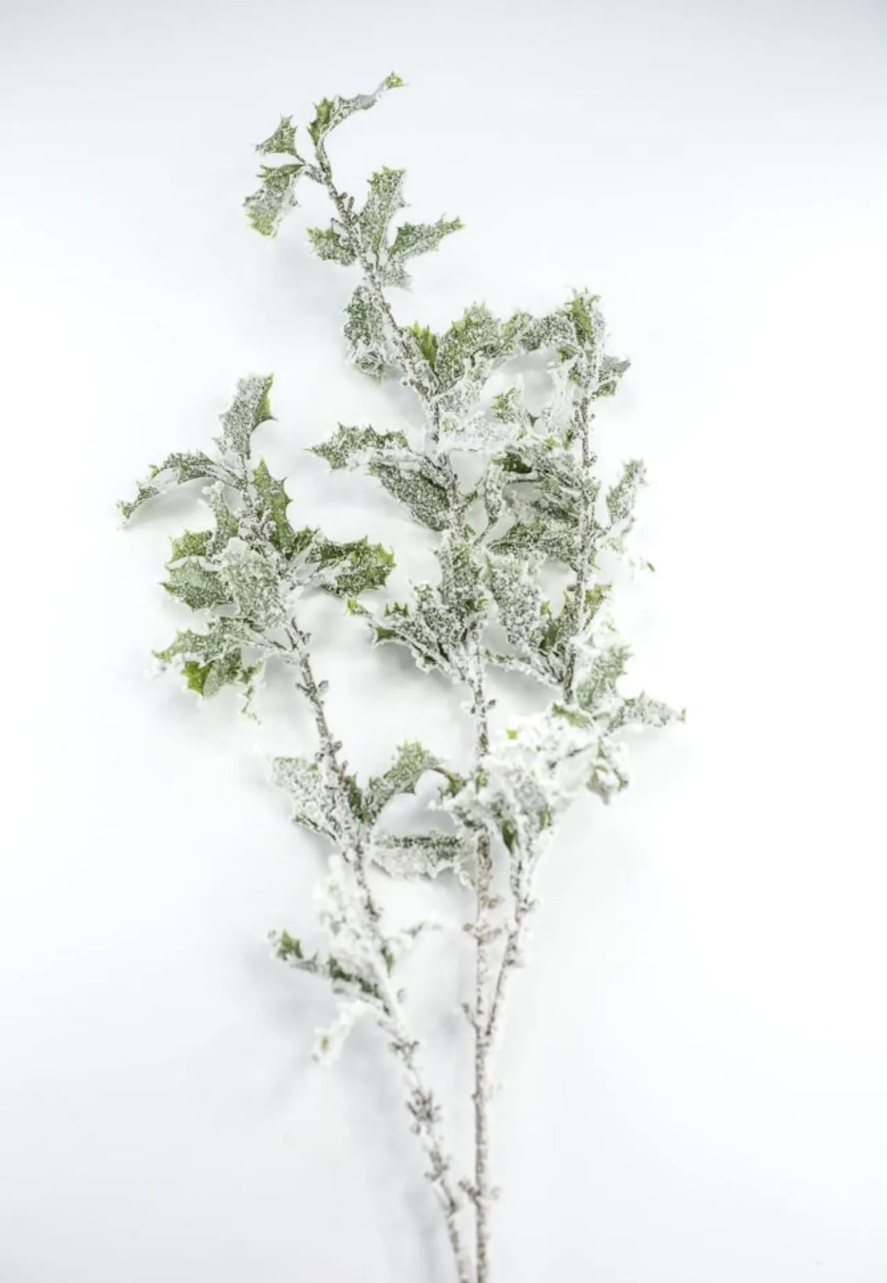 Artificial, snowy, holly greenery spray