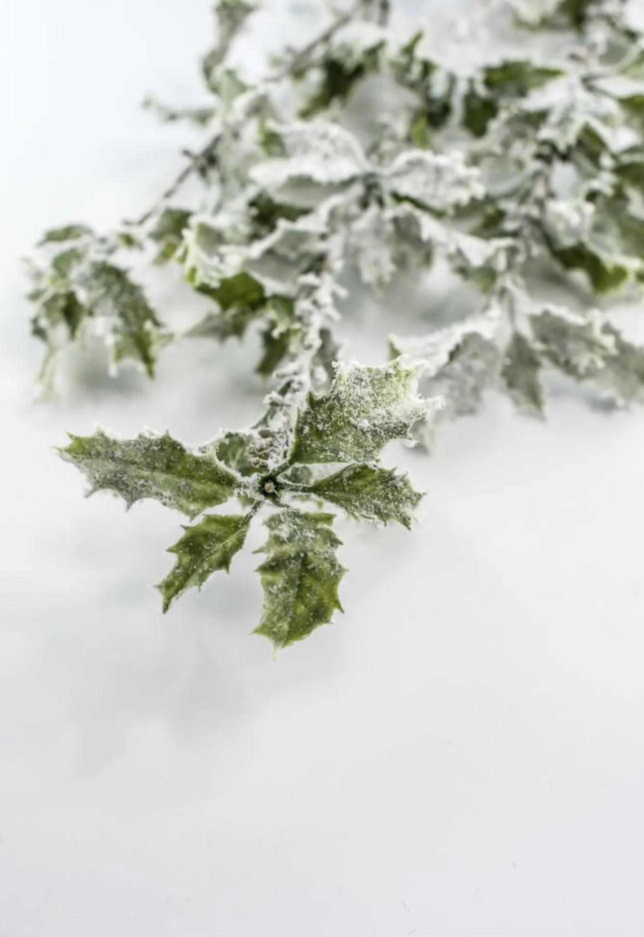 Artificial, snowy, holly greenery spray