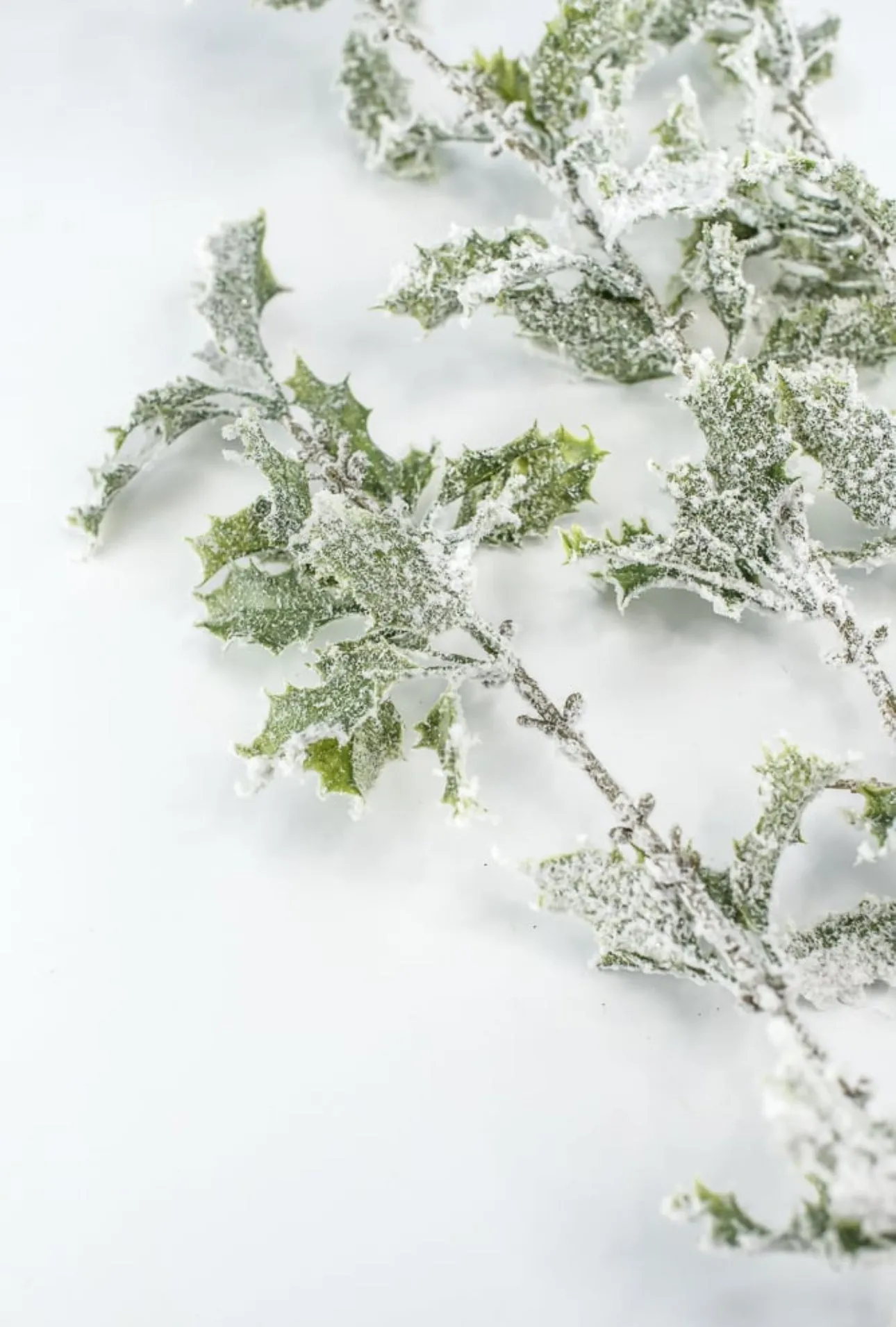 Artificial, snowy, holly greenery spray