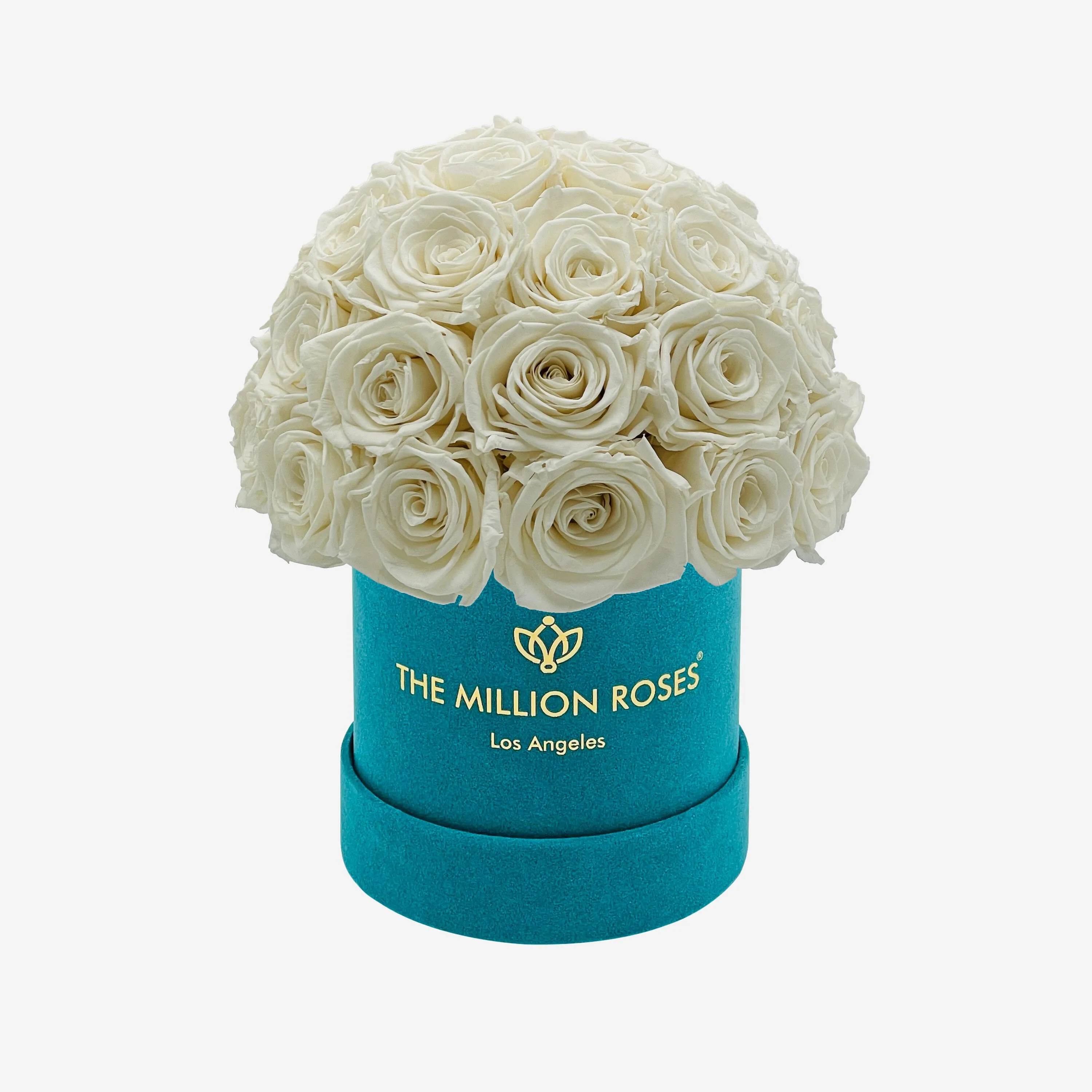 Basic Dark Green Suede Superdome Box | White Roses