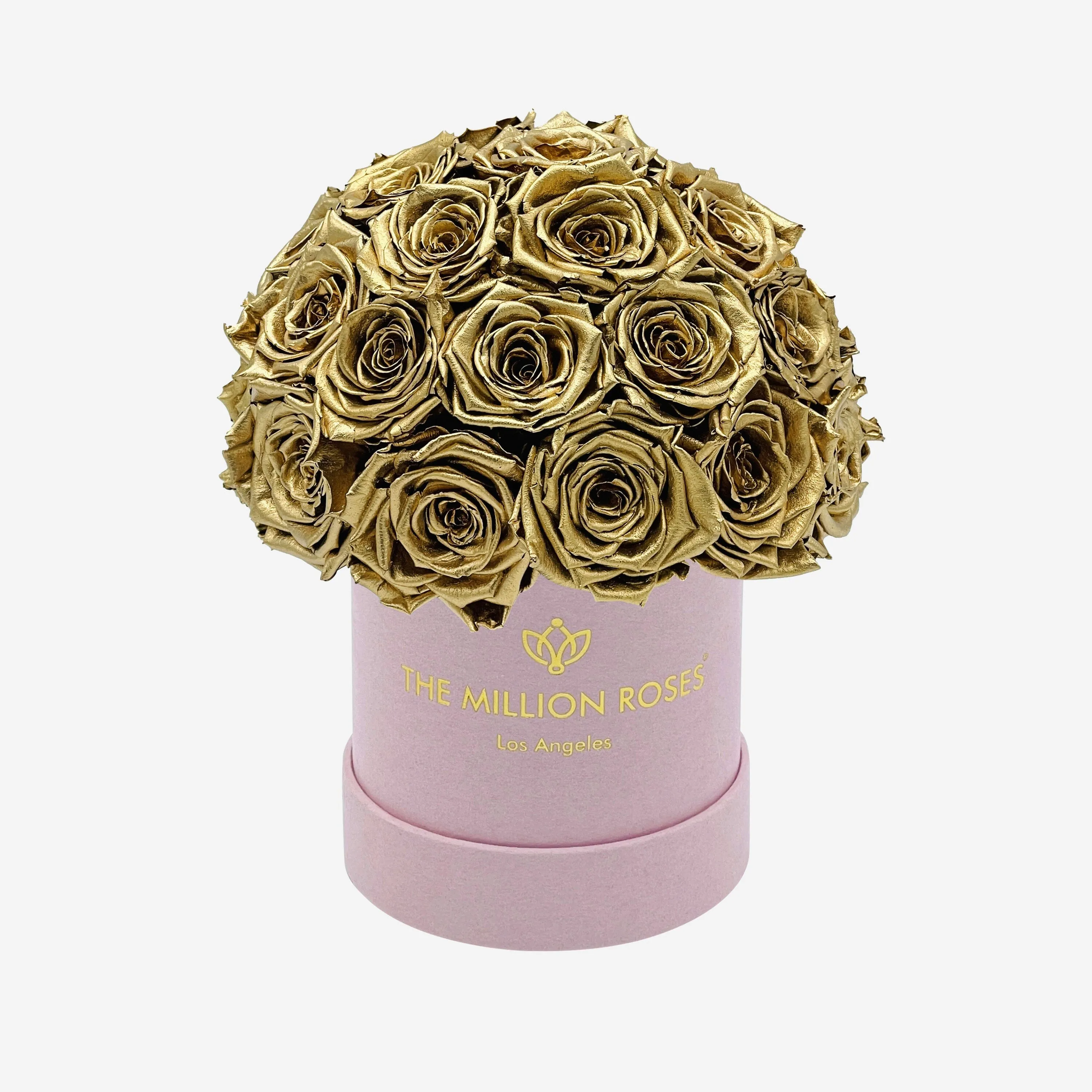 Basic Light Pink Suede Superdome Box | Gold Roses