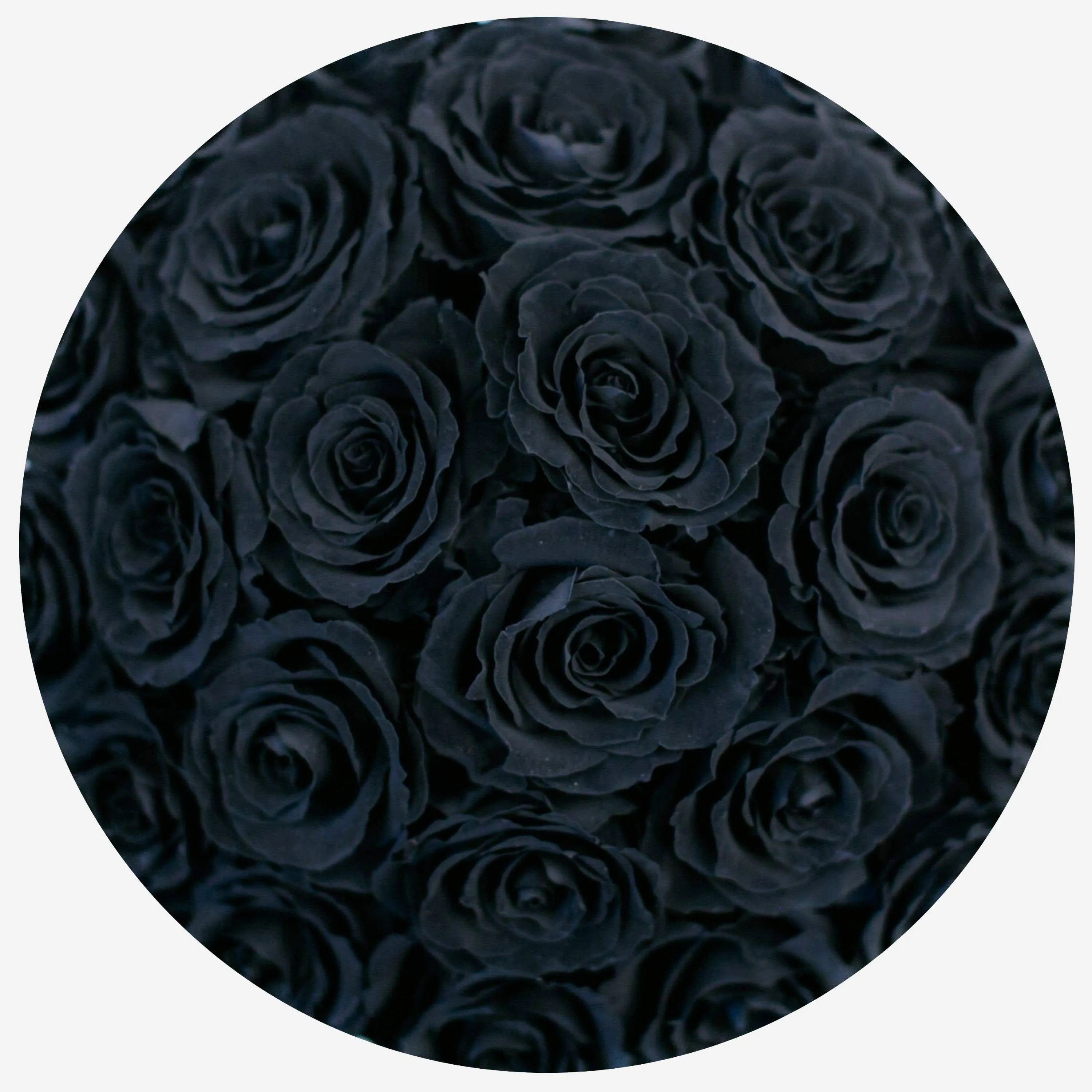 Classic Hot Pink Suede Dome Box | Black Roses