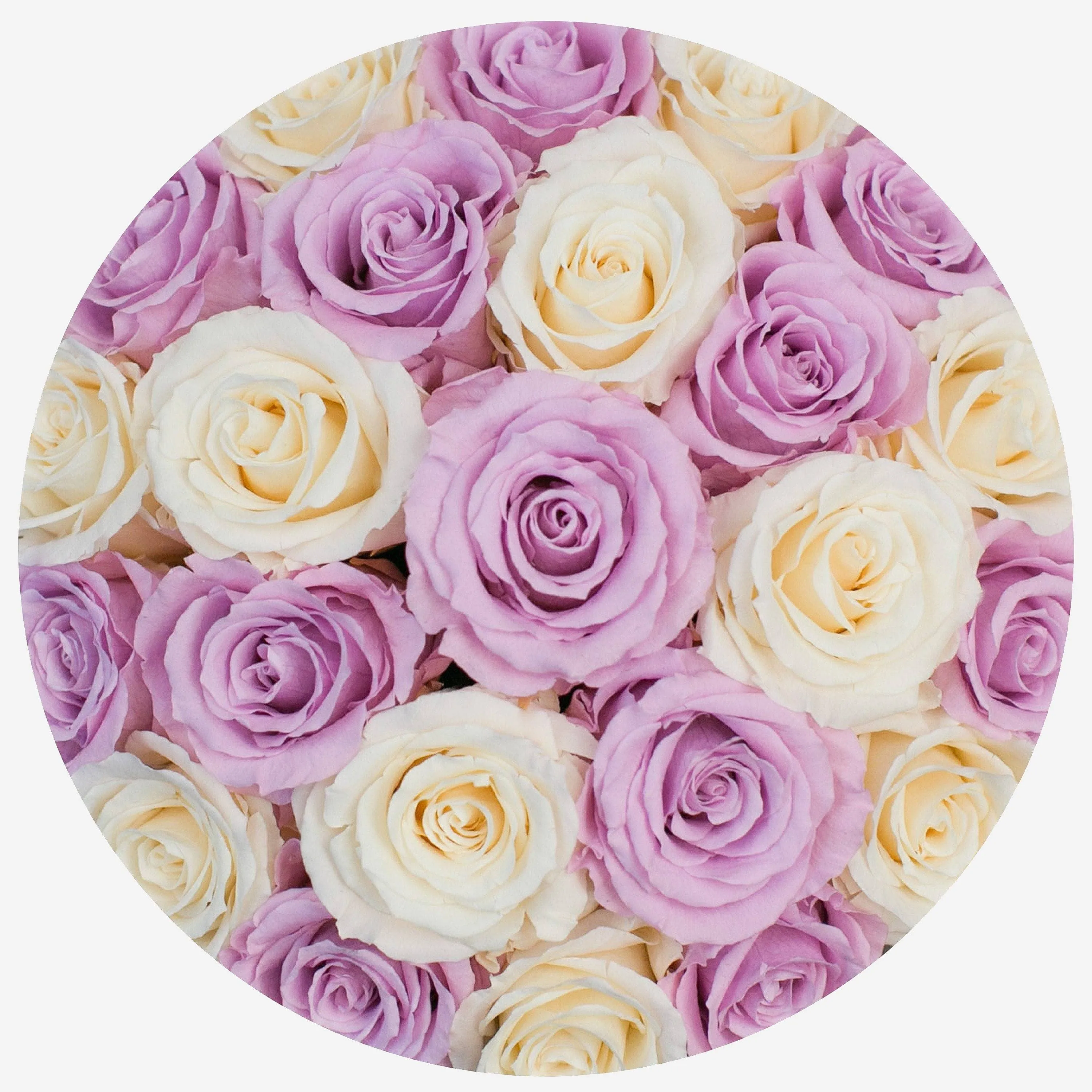 Classic Hot Pink Suede Dome Box | Ivory & Pink Roses