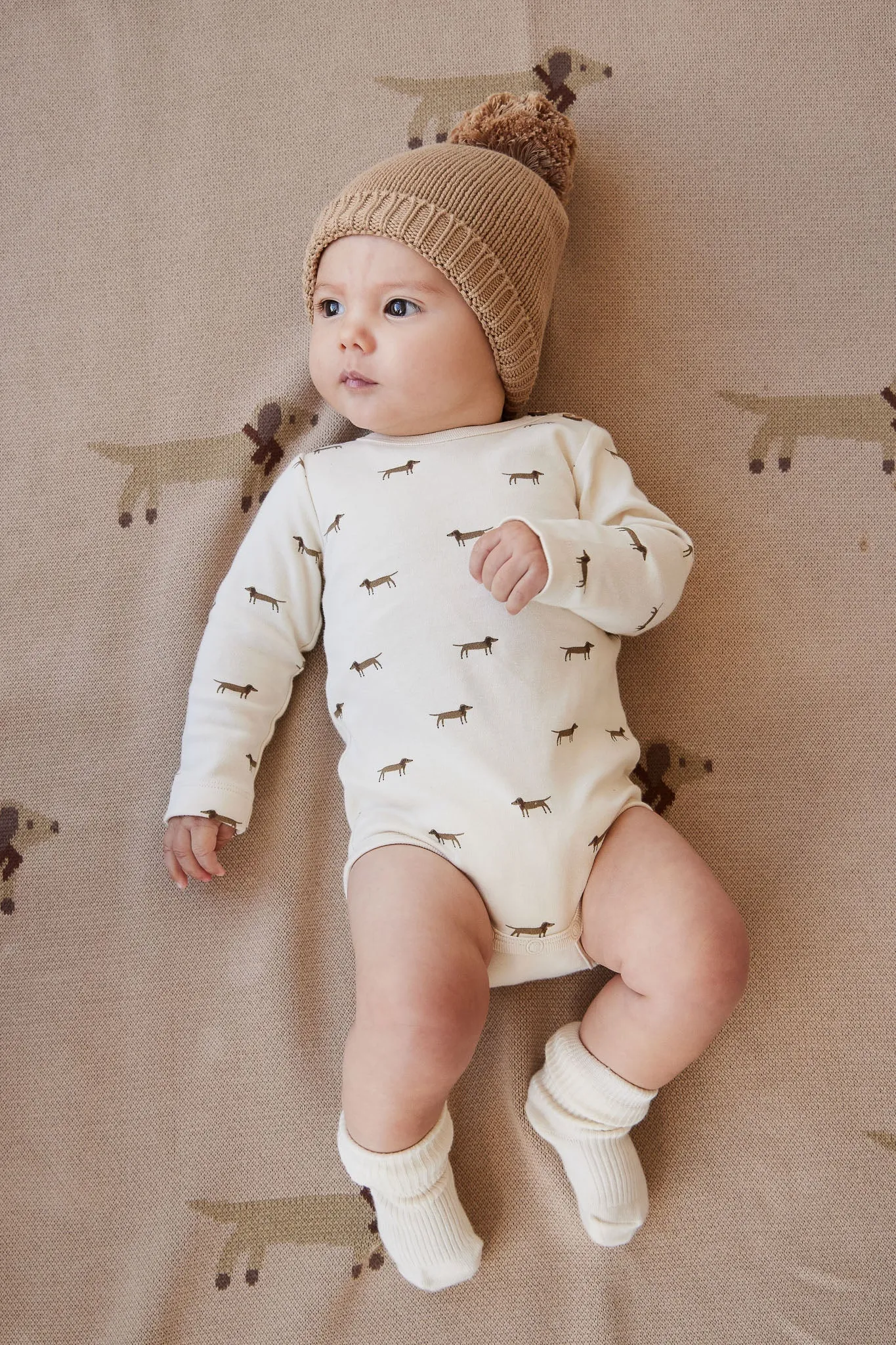 Classic Rib Sock - Cloud