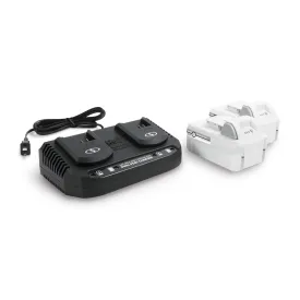 Snow Joe   Sun Joe 24V-5AMP-SK2D CERTIFIED AUTHENTIC 24-Volt* Starter Kit | W/ 2 x 5.0-Ah Batteries   Dual Port Charger